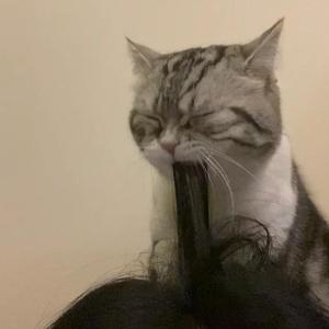 男女性爱羞羞软件
