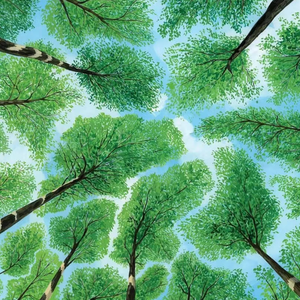 男女性爱羞羞软件
